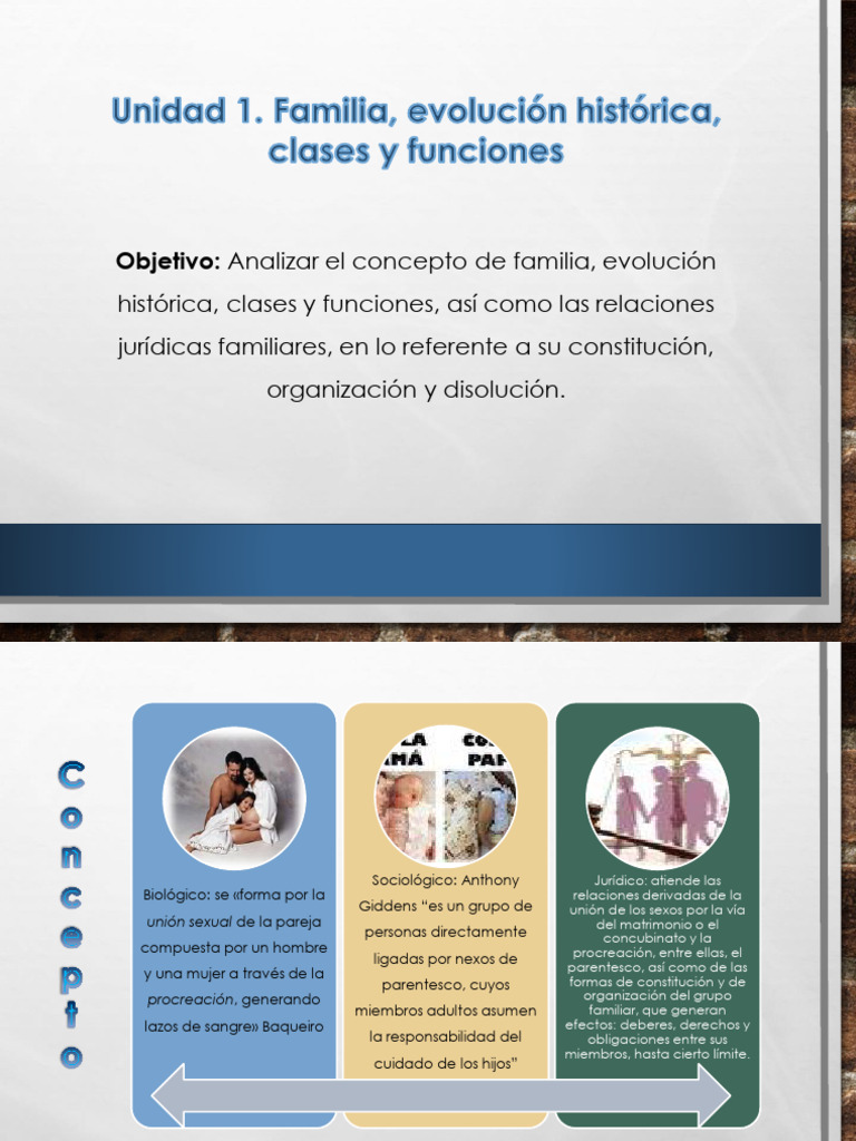 Evolución y Funciones de la Familia | PDF | Familia | Convenio europeo ...