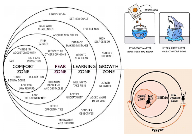 Comfort Zone | PDF