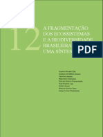 Fragmentacao Dos Ecossistemas e A Biodiversidade