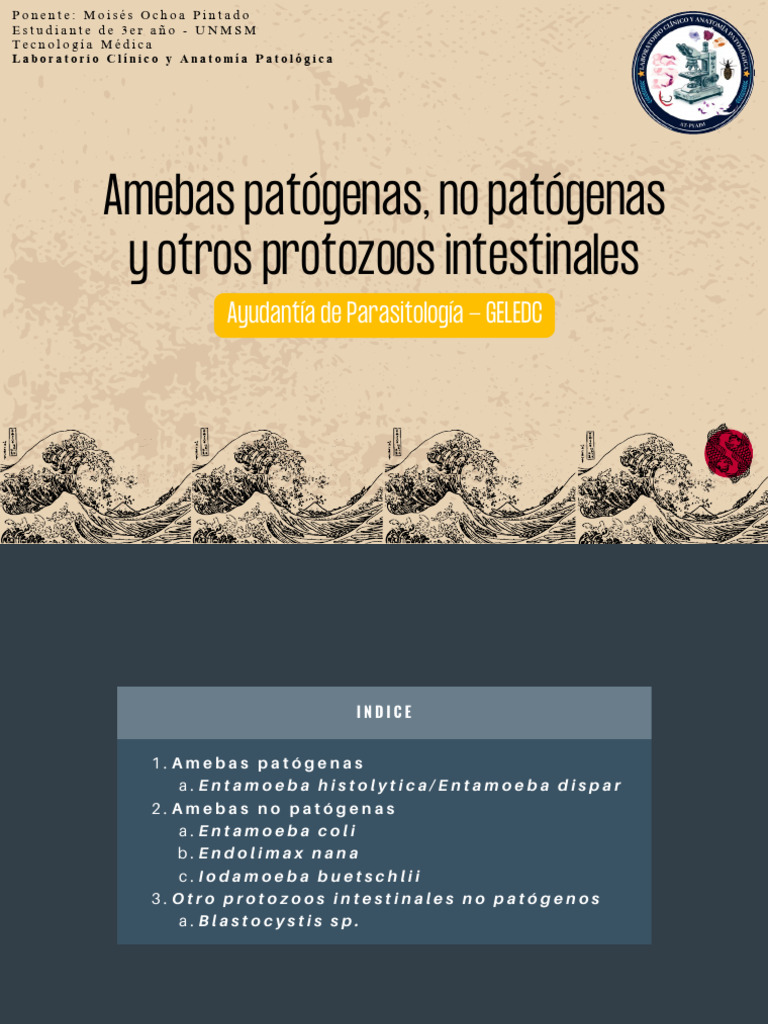 Amebas Patógenas y No Patógenas en Medicina | PDF | Microbiología ...