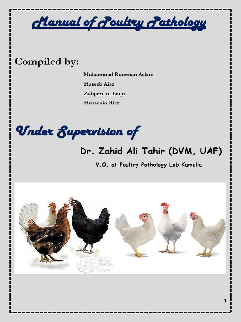 Manual of Poultry Pathology Kamalia Lab-1-1 | PDF | Lymphatic System ...