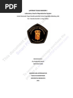 Download Pemeriksaan Laboratoriun Sistem Reproduksi by Eky Madyaning Nastiti SN75665696 doc pdf