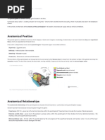Ascites Examination Shifting Dullness Fluid Thrill Puddle Sign | PDF ...
