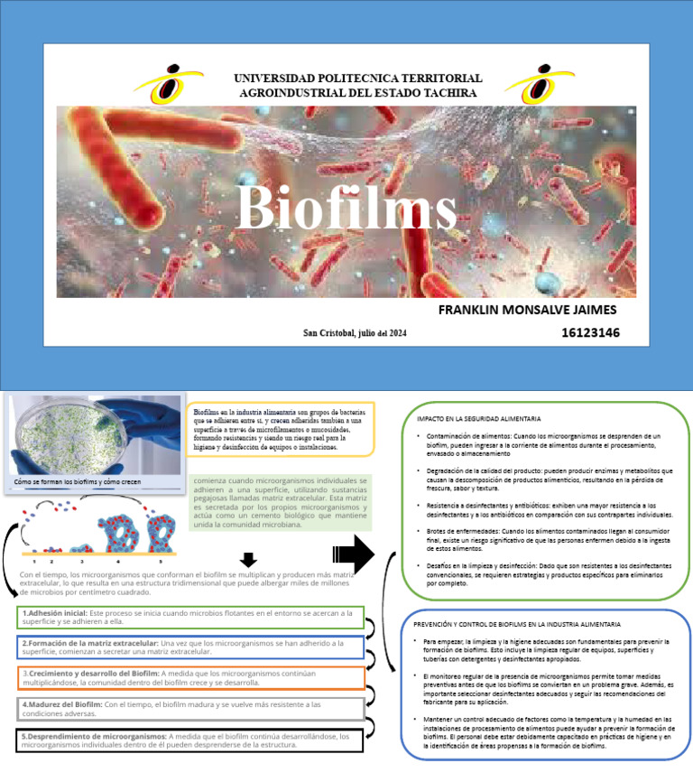 Biofilms en la Industria Alimentaria | PDF | Biopelícula | Alimentos