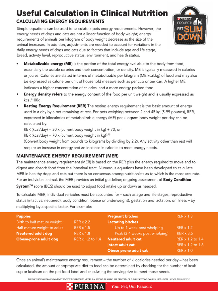 EN ERC Calculations Sheet | PDF