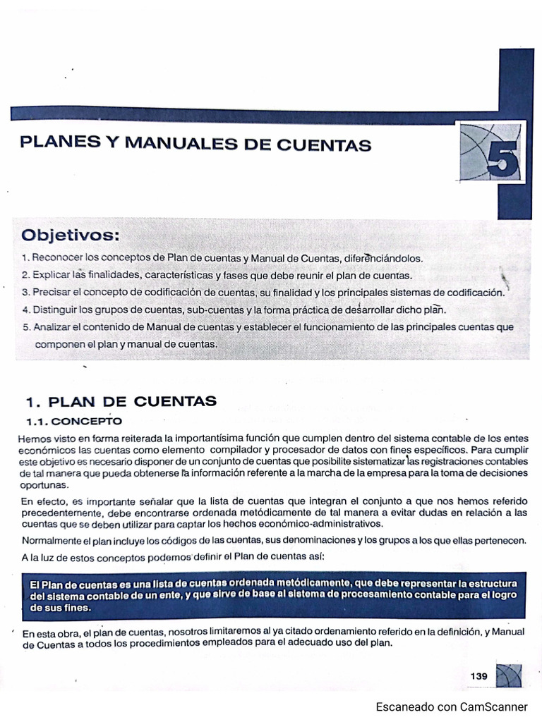 Plan de Cuentas - Concepto y Otros | PDF