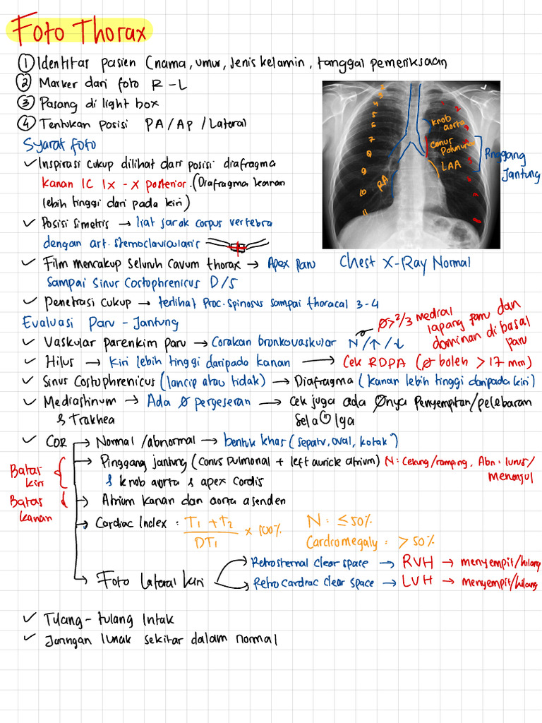 Analisis Foto Thorax dan Kasus Medis | PDF