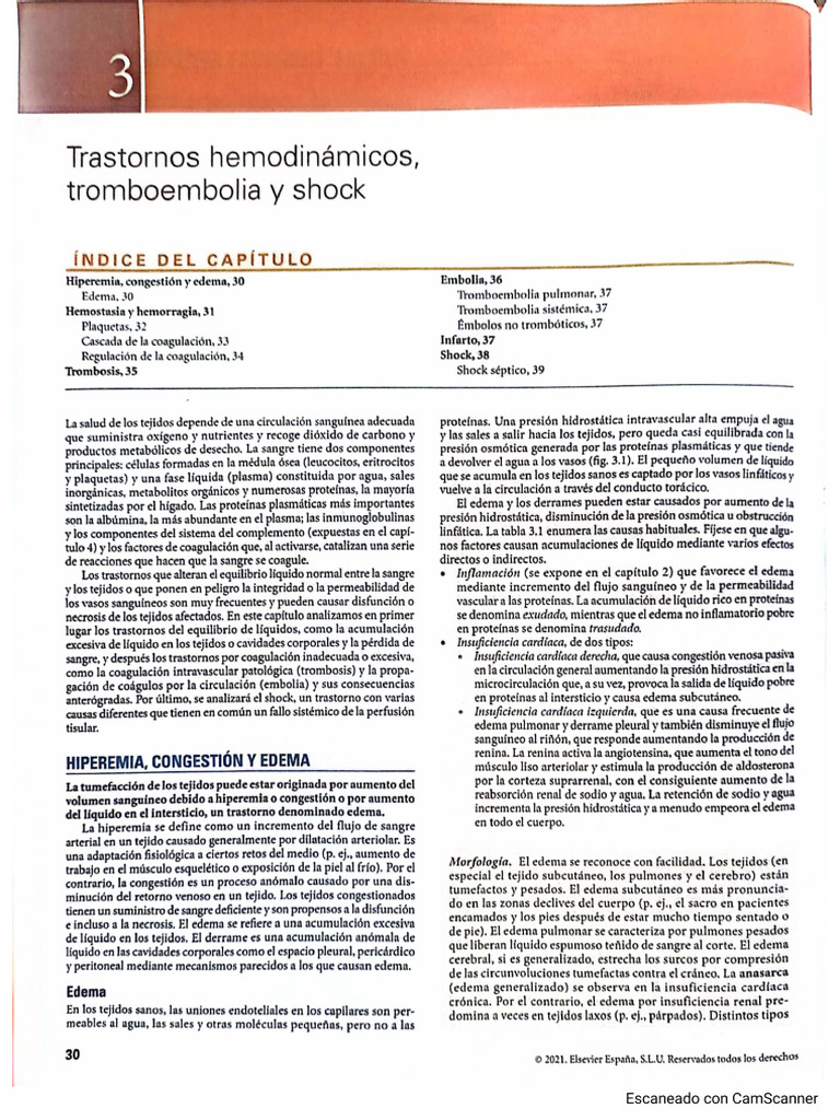 Cap 3 | PDF
