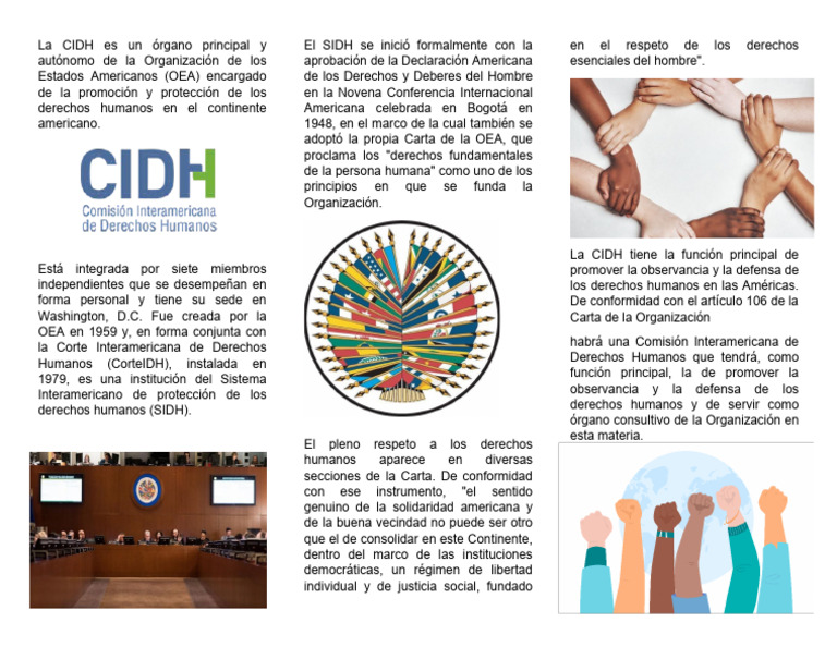 Funciones de la CIDH en América | PDF | Etica social | Gobierno