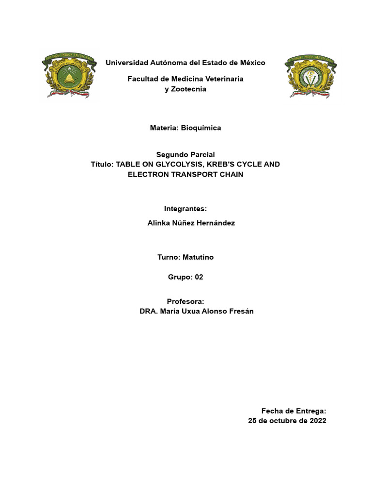 Table on Glycolysis, Kreb's Cycle and Electron Transport Chain PDF