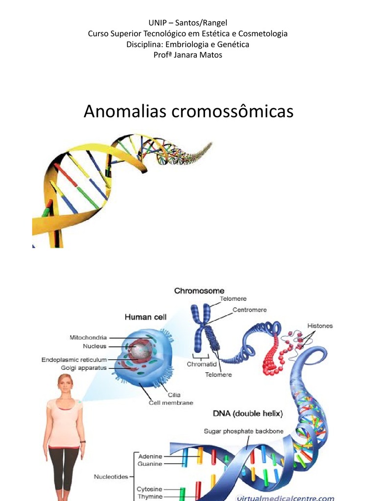 Na Especie Humana Podem Aparecer Certas Anomalias Cromossomicas