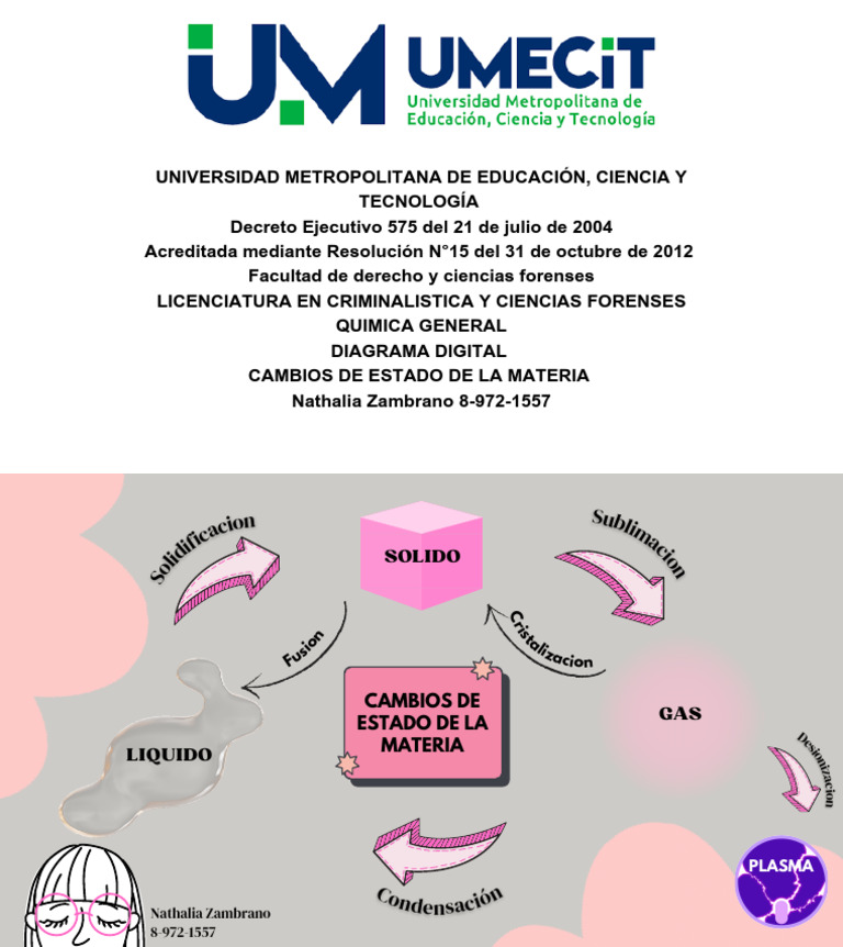 Diagrama Quimica Materia y Estados | PDF