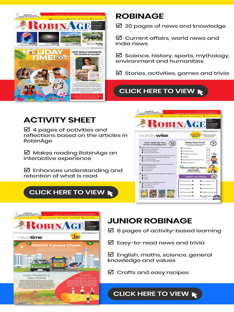 RobinAge Activity Sheet JR RobinAge Sample | PDF