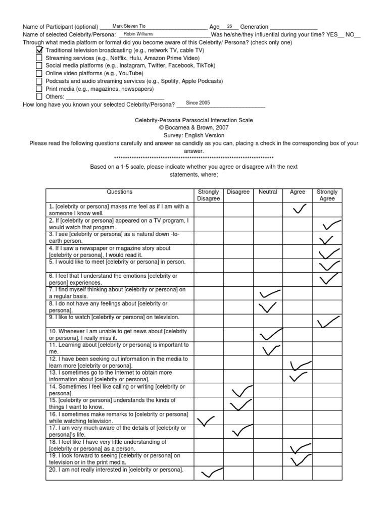 Celebrity Persona Interaction Survey | PDF | Celebrity | Streaming Media