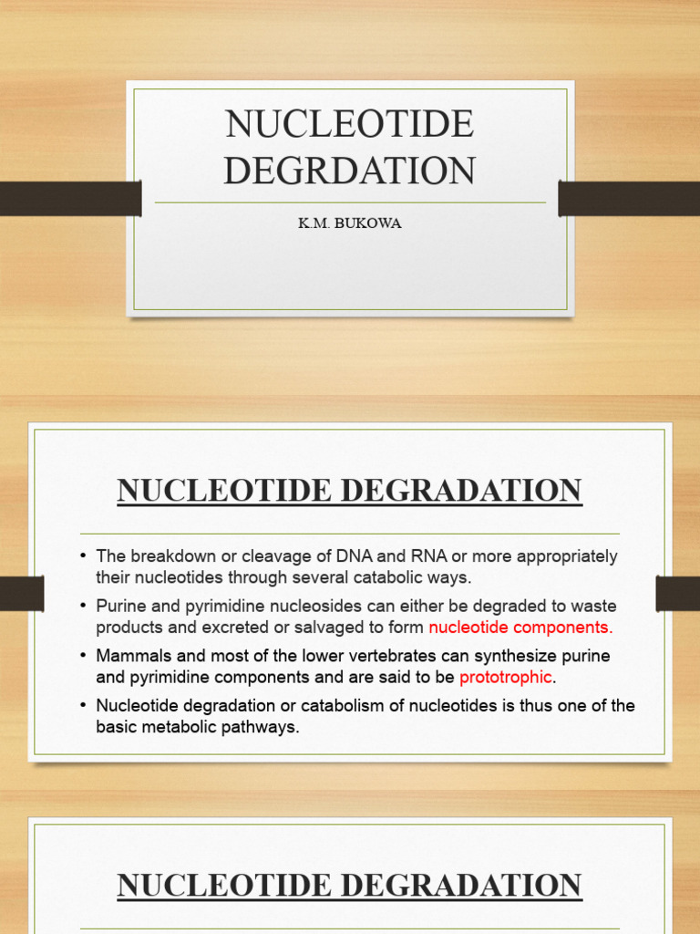 Nucleotide Degradation Pathways Explained | PDF | Nucleotides | Metabolism