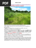 Download Herbs by Angelos Hadjistavri SN75688060 doc pdf