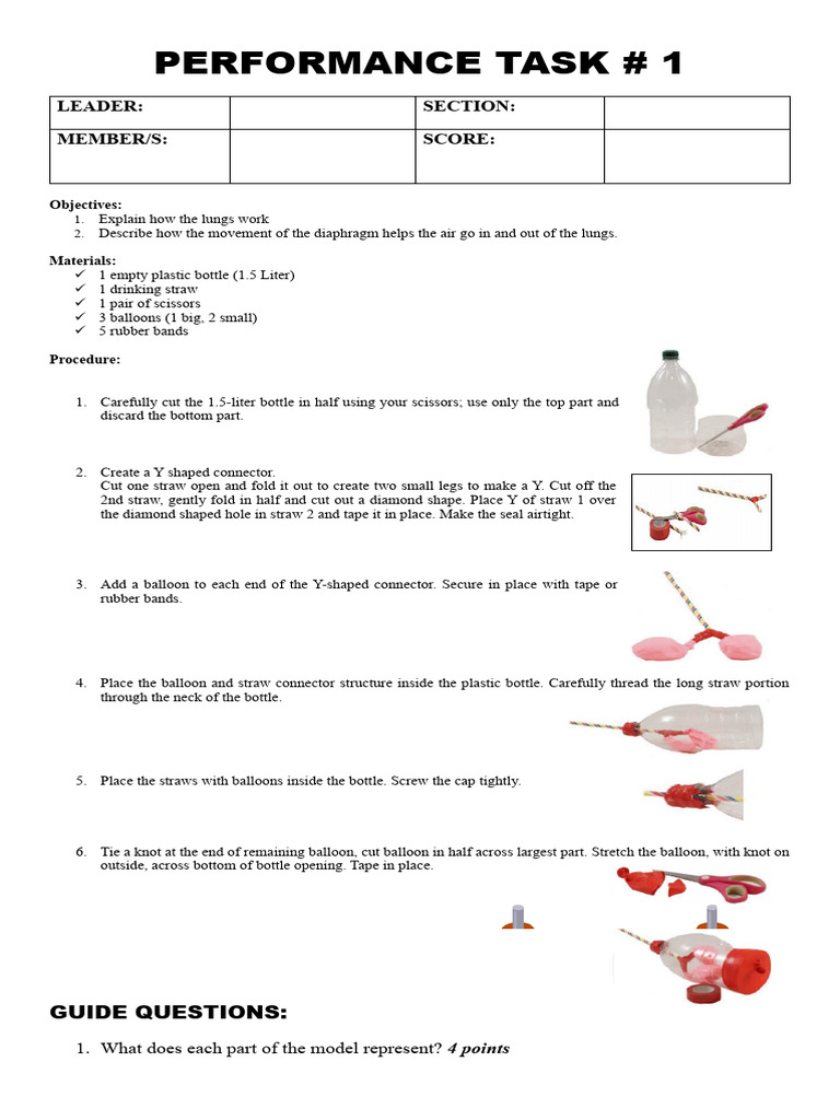 Performance Task # 1 | PDF