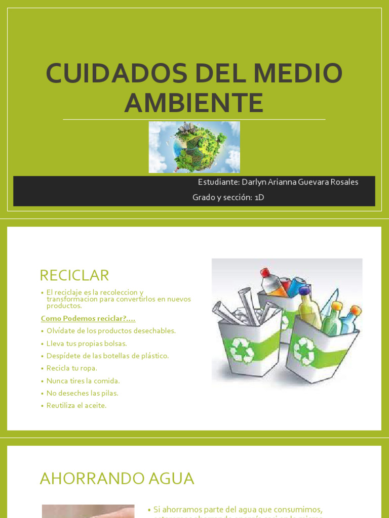 Darlyn Cuidado Del Medio Ambiente | PDF | Cocina, comidas y vino