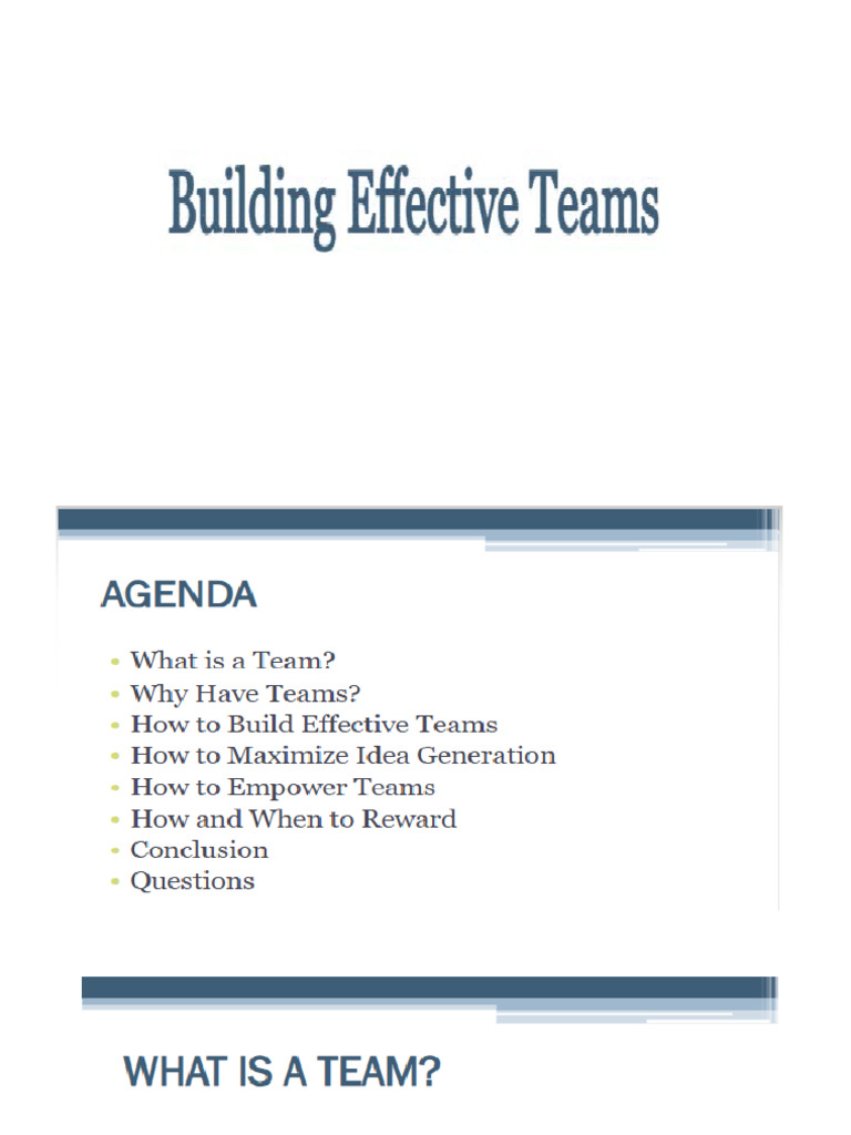 Building Effective Team | PDF