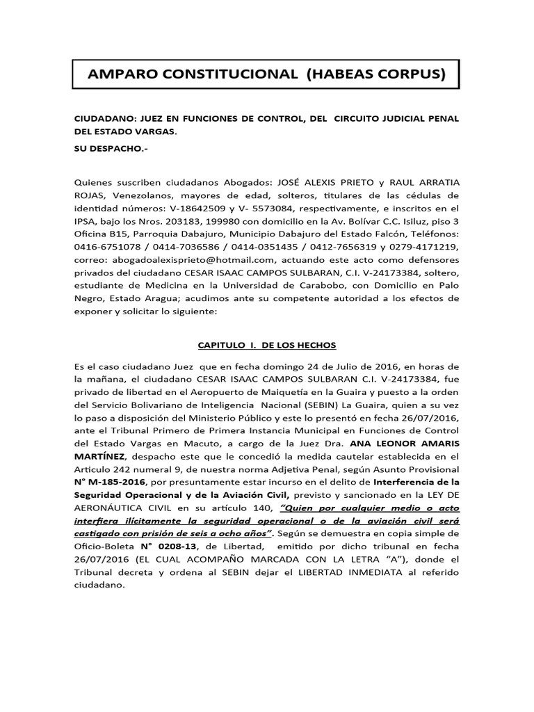 Accion de Amparo Isaac La Guaira | PDF | Derecho Constitucional ...