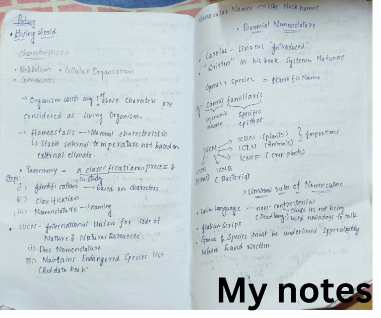 My Notes - 20240807 - 182545 - 0000 | PDF