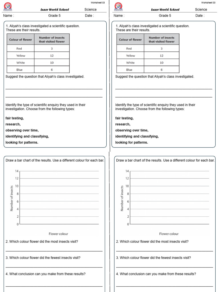 Seed Germination Worksheet | PDF | Seed | Flowers