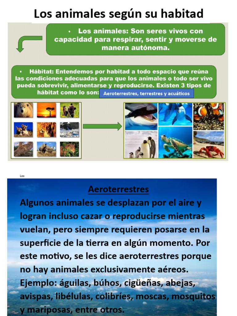 Los Animales Según Su Habitad | PDF