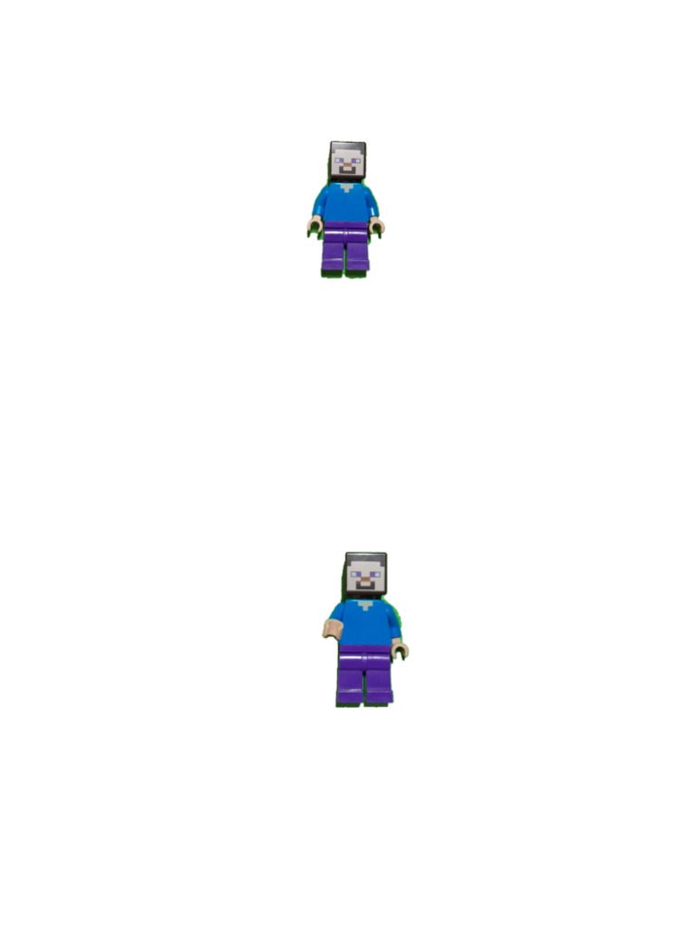 Steve | PDF