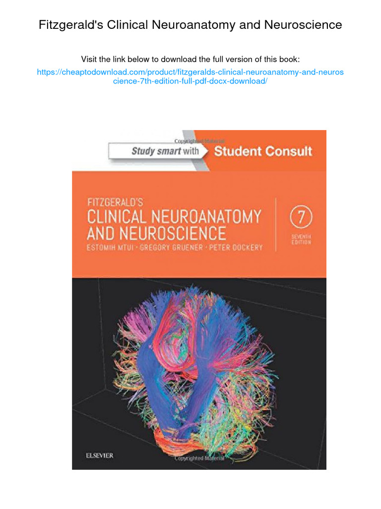 Journal of Neurolinguistics | ScienceDirect.com by Elsevier