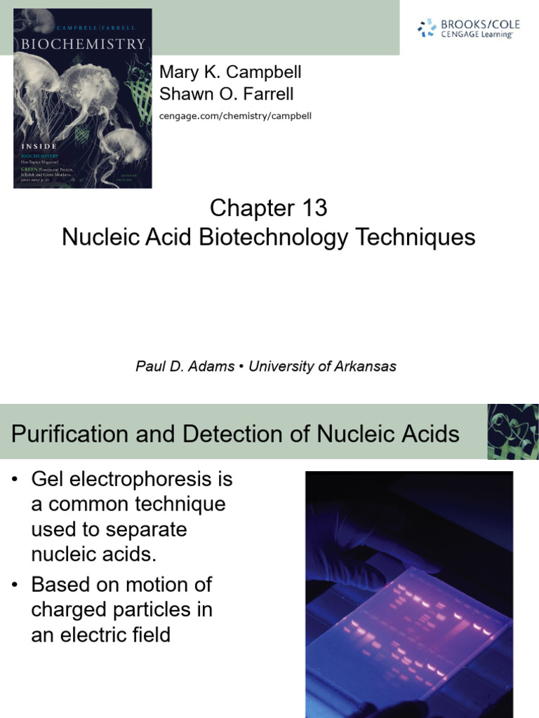 Nucleic Acid Biotechnology Techniques | PDF | Molecular Cloning ...