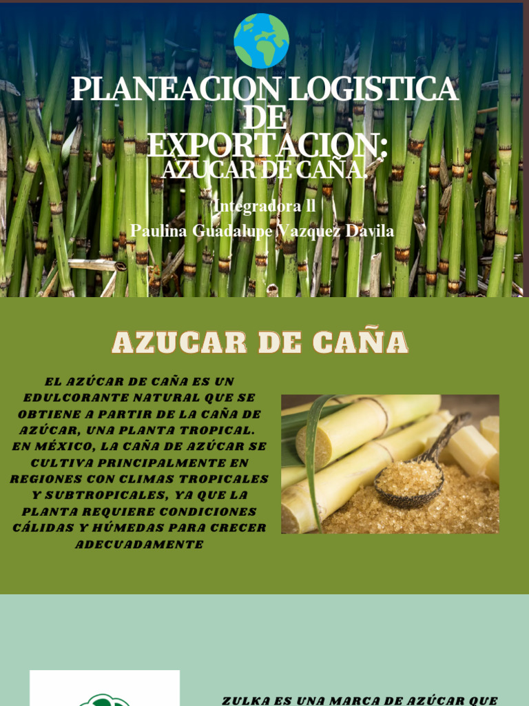 Plan exportacion azucar de ca a pdf