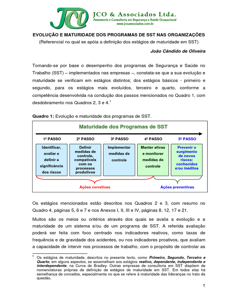 Maturidade dos Programas de SST nas Empresas | PDF | Tempo | Liderança