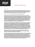 Download AP Biology Lab Five Cell Respiration by CoolAsianDude SN7570252 doc pdf