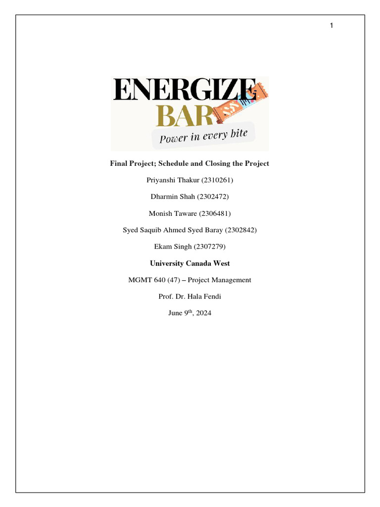 Assignment 1 & 2 & 3 - Final Project - Team 7 | PDF | Target Audience ...