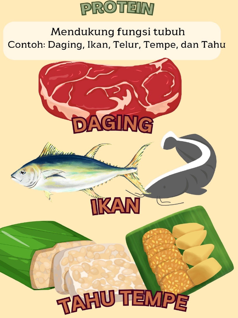 Protein L | PDF