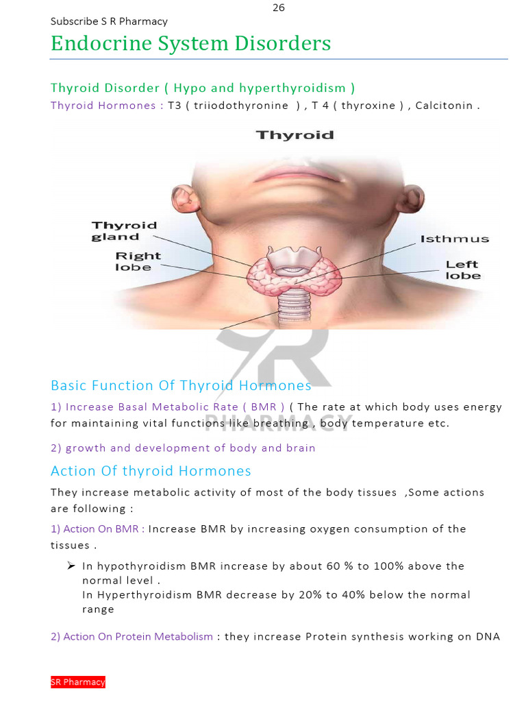 Thyroid Disorders: Hypo & Hyperthyroidism Guide | PDF | Hyperthyroidism ...