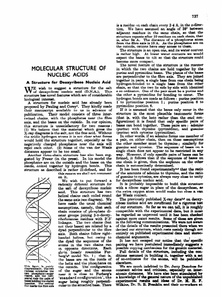 Molecular Structure of Nucleic Acids | PDF | Chemistry | Biomolecules