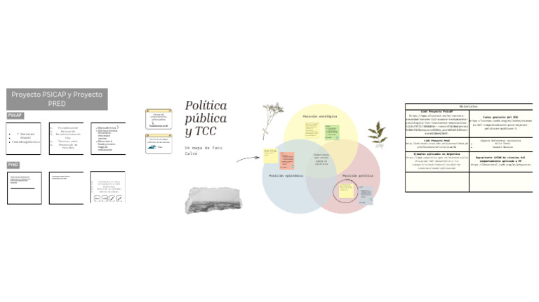 Optimización de Salud Mental: Proyecto PsicAP y PRED | PDF | Sicología ...