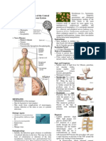 Diseases of The Central Nervous System