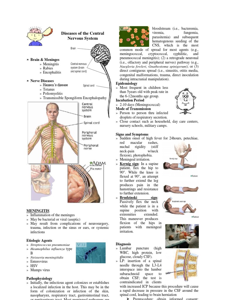 Central Nervous System Diseases Overview | PDF | Rabies | Poliomyelitis