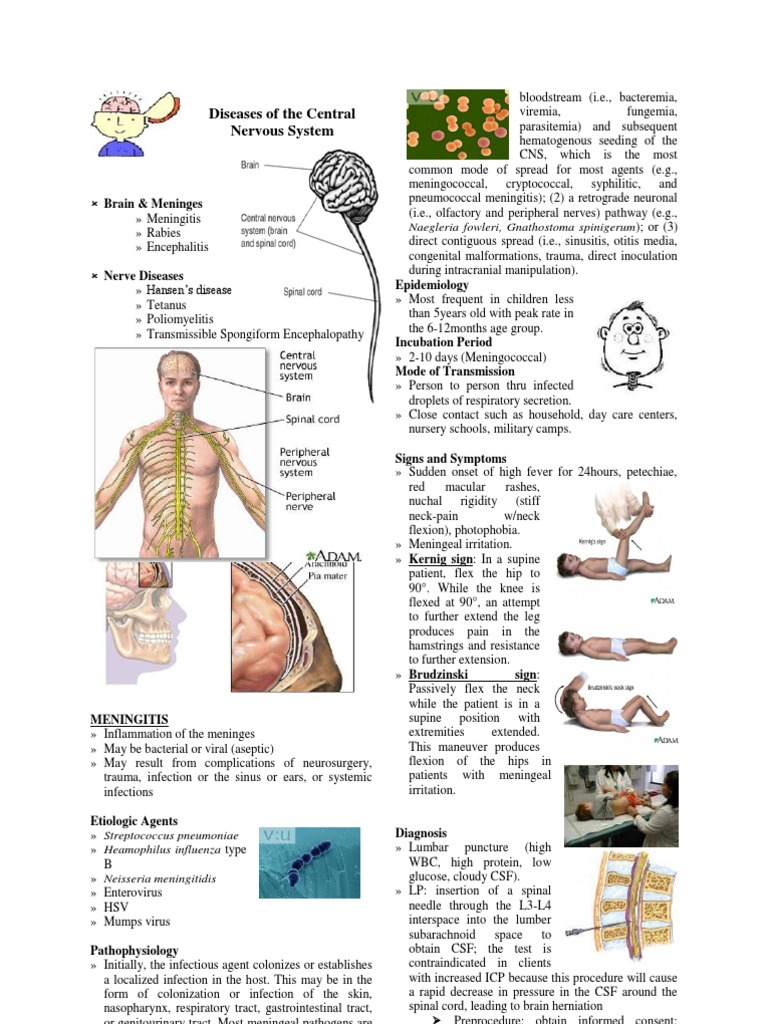 Diseases Of The Central Nervous System Pdf Rabies Poliomyelitis 