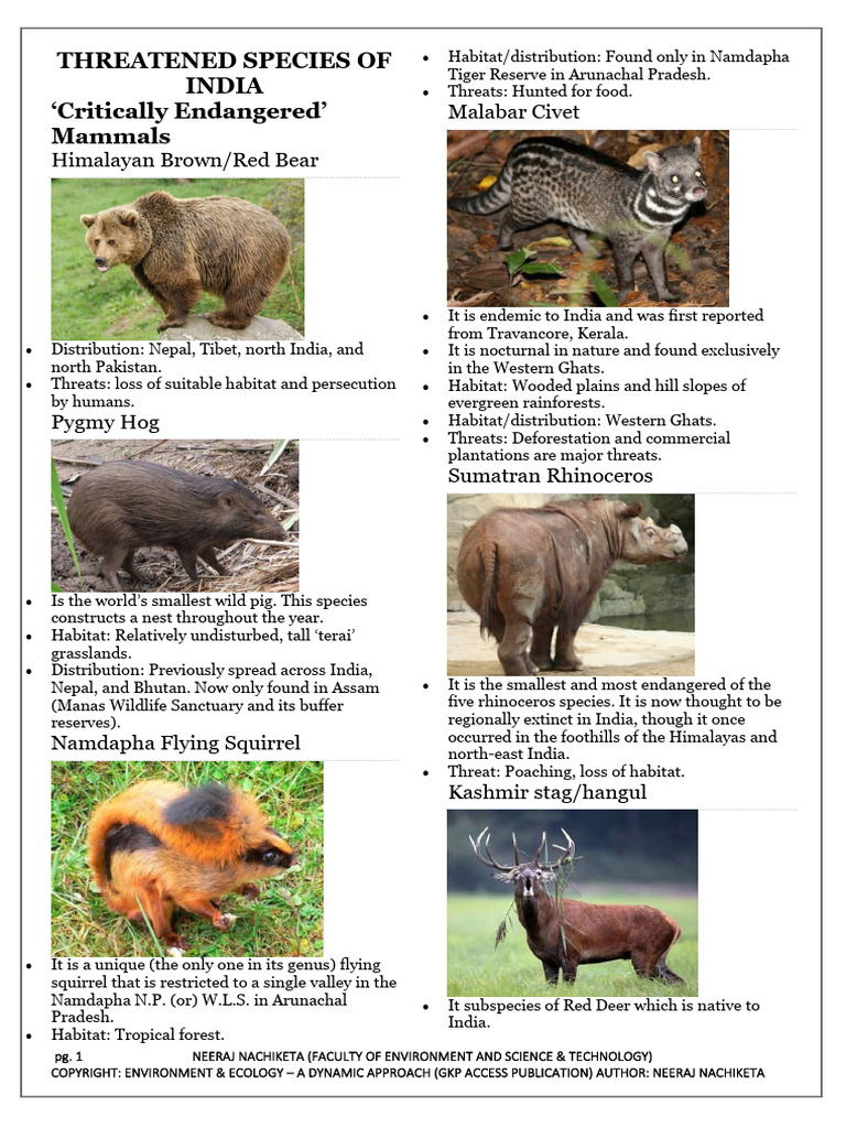 Endangered Mammals of India | PDF | Himalayas | Hunting
