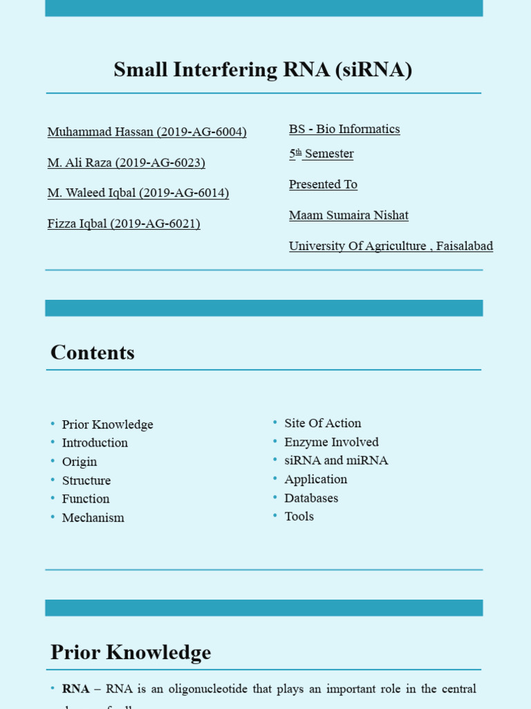 Overview of Small Interfering RNA (siRNA) | PDF | Small Interfering Rna ...