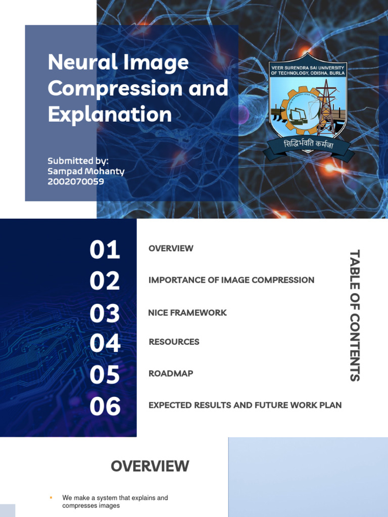 Neural Image Compression and Explanation: Submitted By: Sampad Mohanty ...