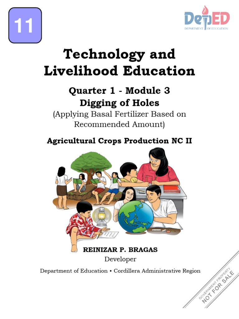 Basal Fertilizer Application Guide | PDF | Fertilizer | Plant Nutrition