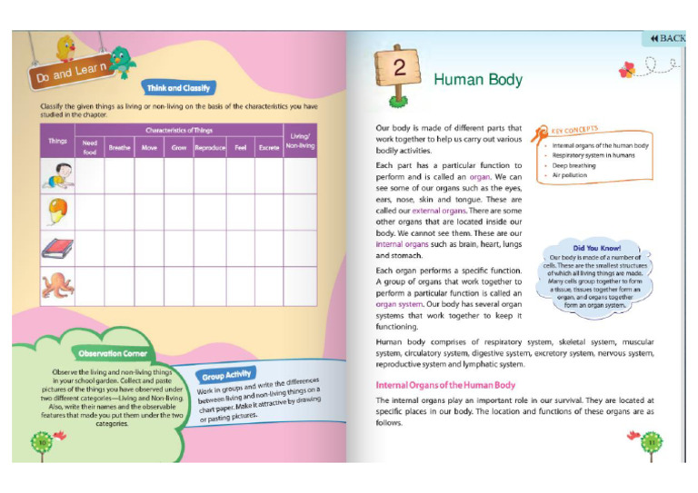 Science Class 3 Part 6 | PDF