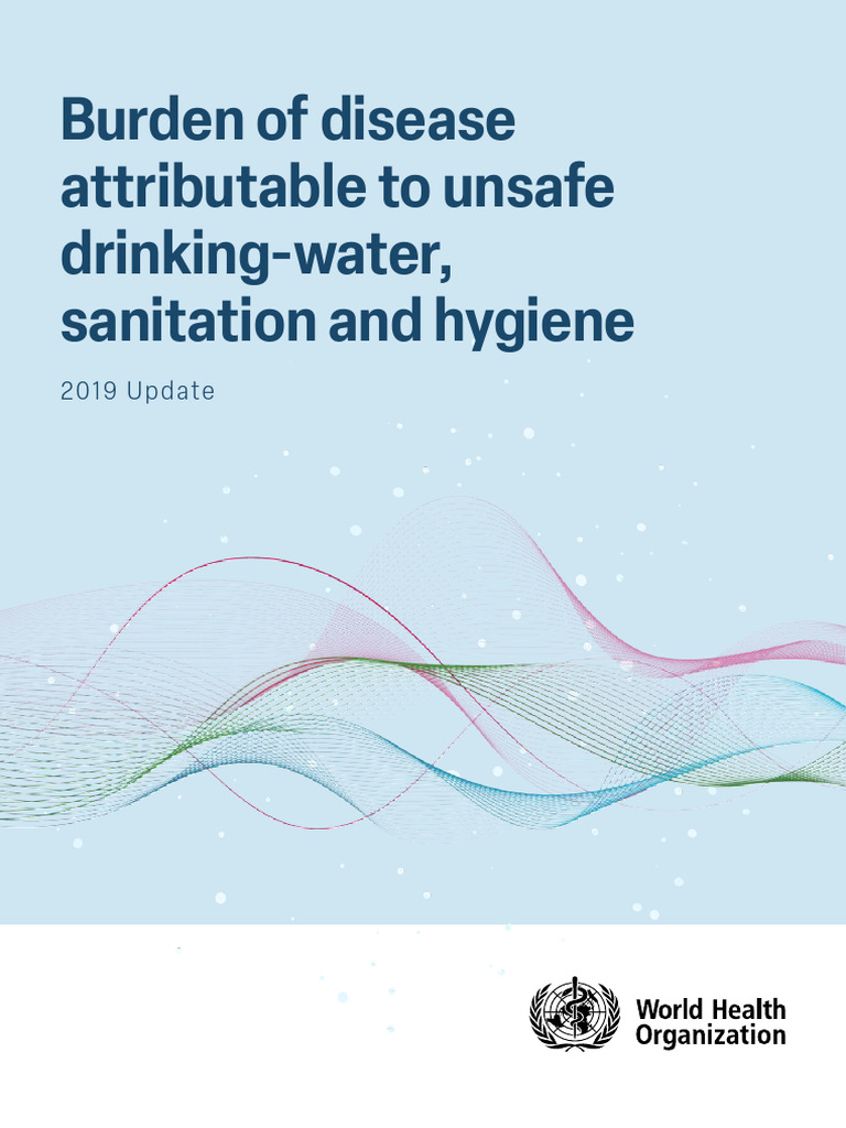 ESTIMATING WASH RELATED BURDEN OF DISEASE visual data 5