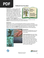 Maryland; Bay Grasses