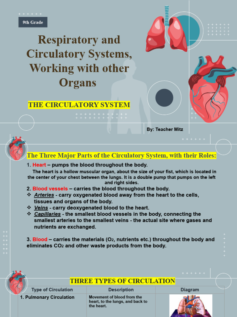 Circulatory System The Heart Pdf Heart Valve Heart