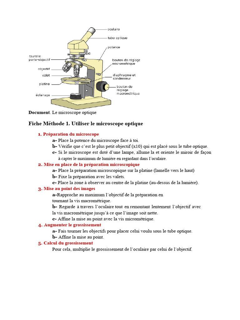 Fiche L7 | PDF | Microscope | Radiation électromagnétique